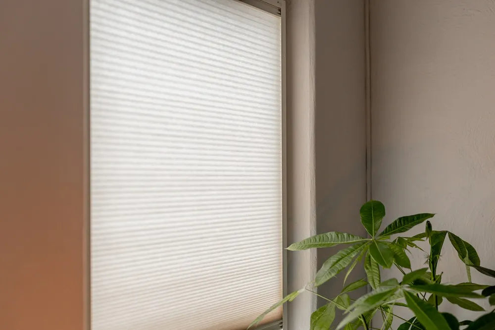 Feste Plissees für Fenster