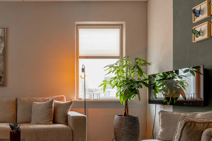 Feste Plissees für Fenster