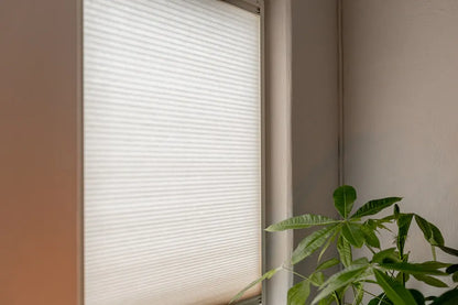 Sfeerbeeld KEJE Vaste raamplissé lichtdoorlatend