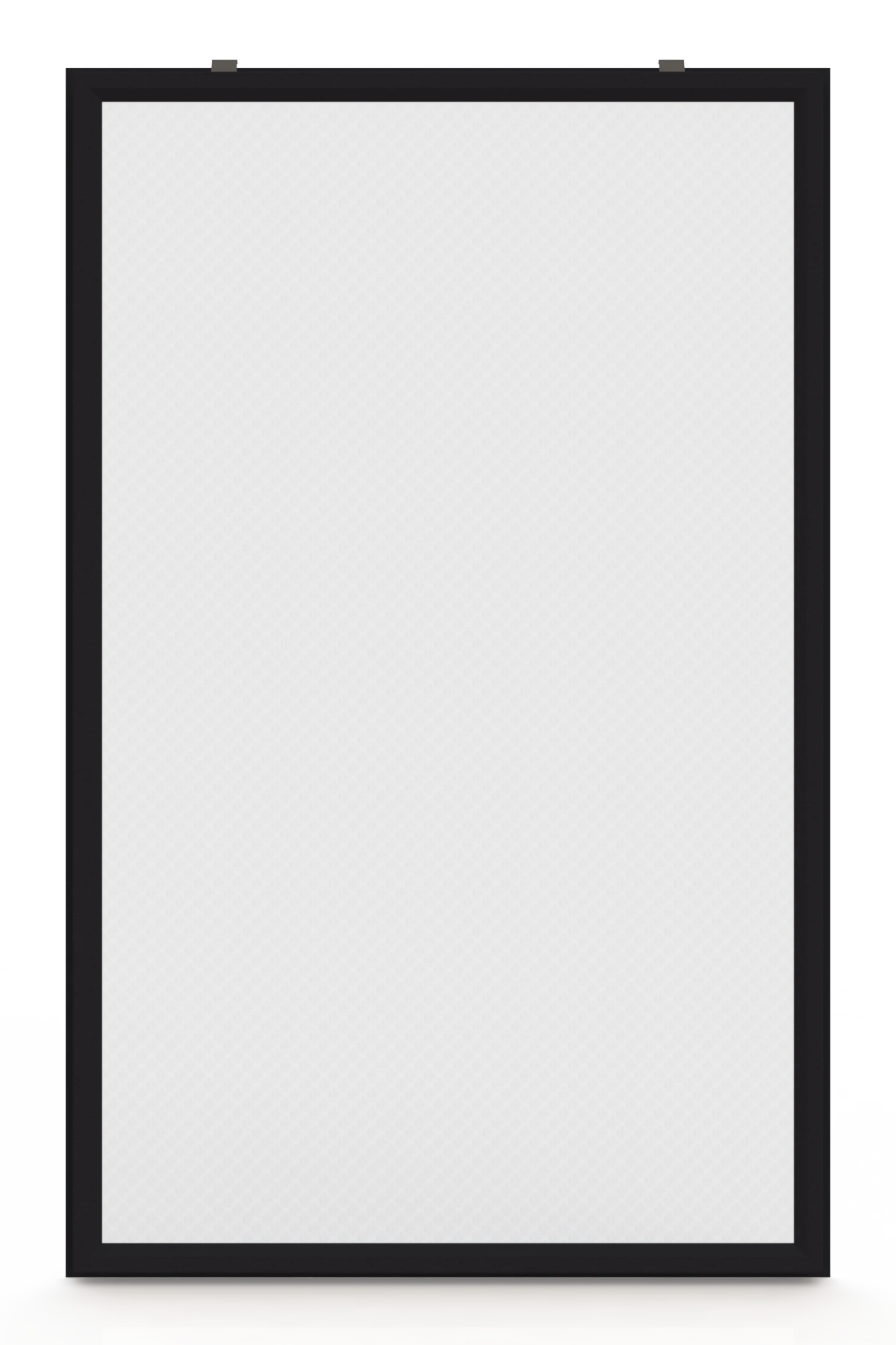 Inzethor in de kleur RAL9005